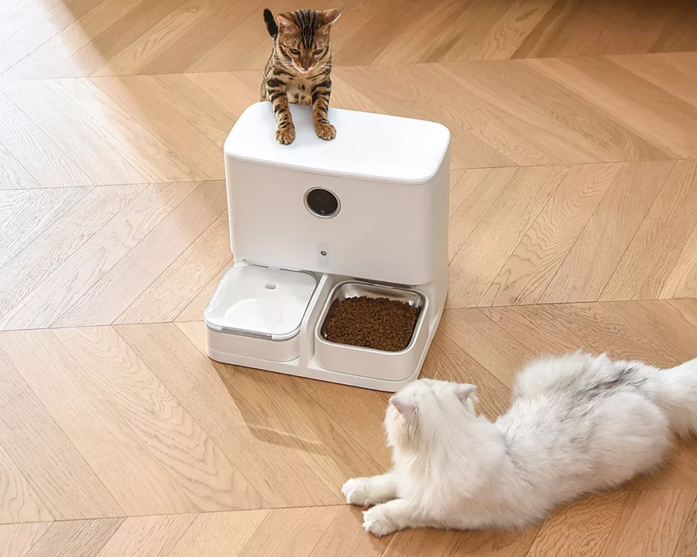 pet automatic feeder dispenser